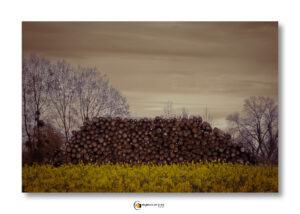 Nature_Campagne_IMG_4064-Modifier