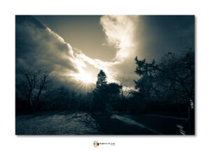 Nature_Ciels_Soleil_IMG_0351-Modifier