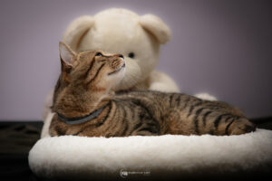 Export-Web_IMG_5146